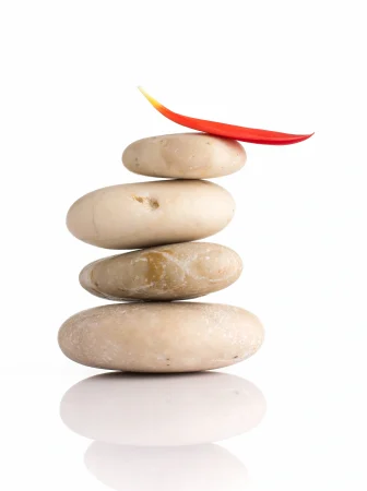 Borító életesszencia